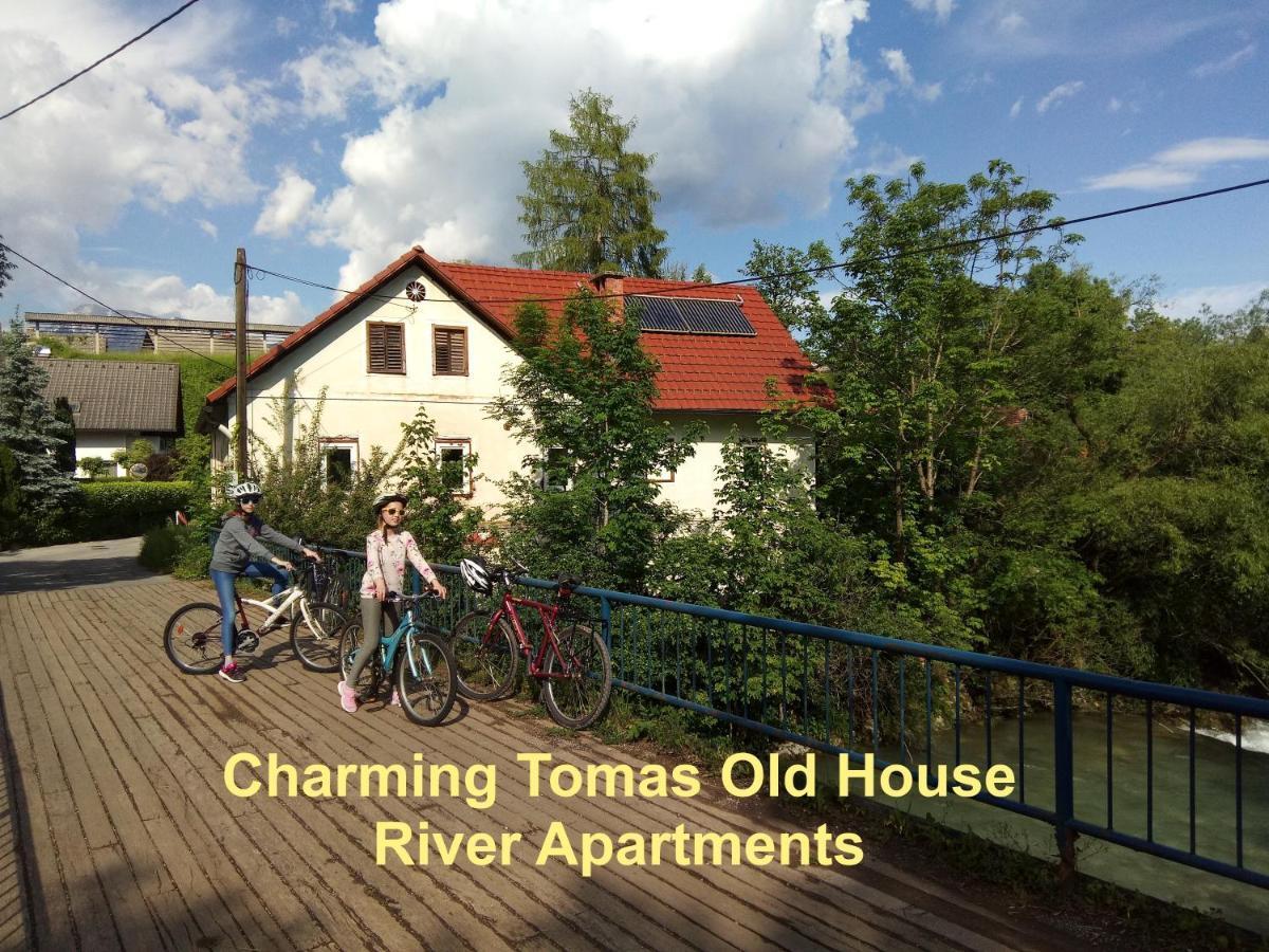Tomas Old House - River Apartments Visoko  Exteriér fotografie